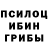 Псилоцибиновые грибы Psilocybine cubensis Pe4enka Games