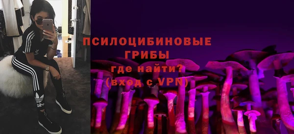 сатива Лихославль