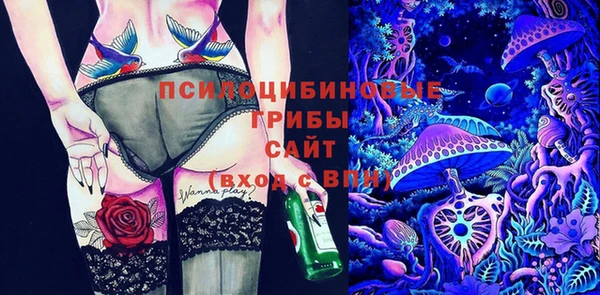 первитин Лагань