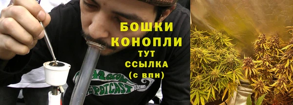 ECSTASY Липки