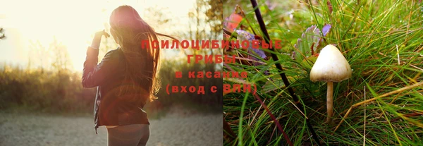 таблы Лабытнанги
